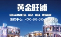 新世界欢乐城  黄金旺铺  临街mint旺铺  稀缺 投资首选